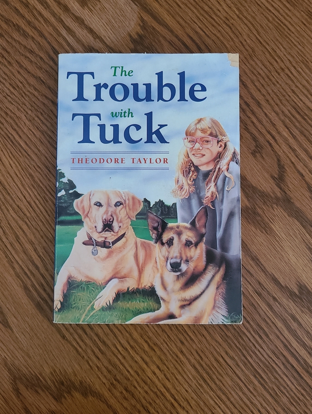 The Trouble with Tuck by Theodore Taylor